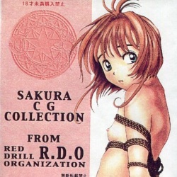 SAKURA CG COLLECTION