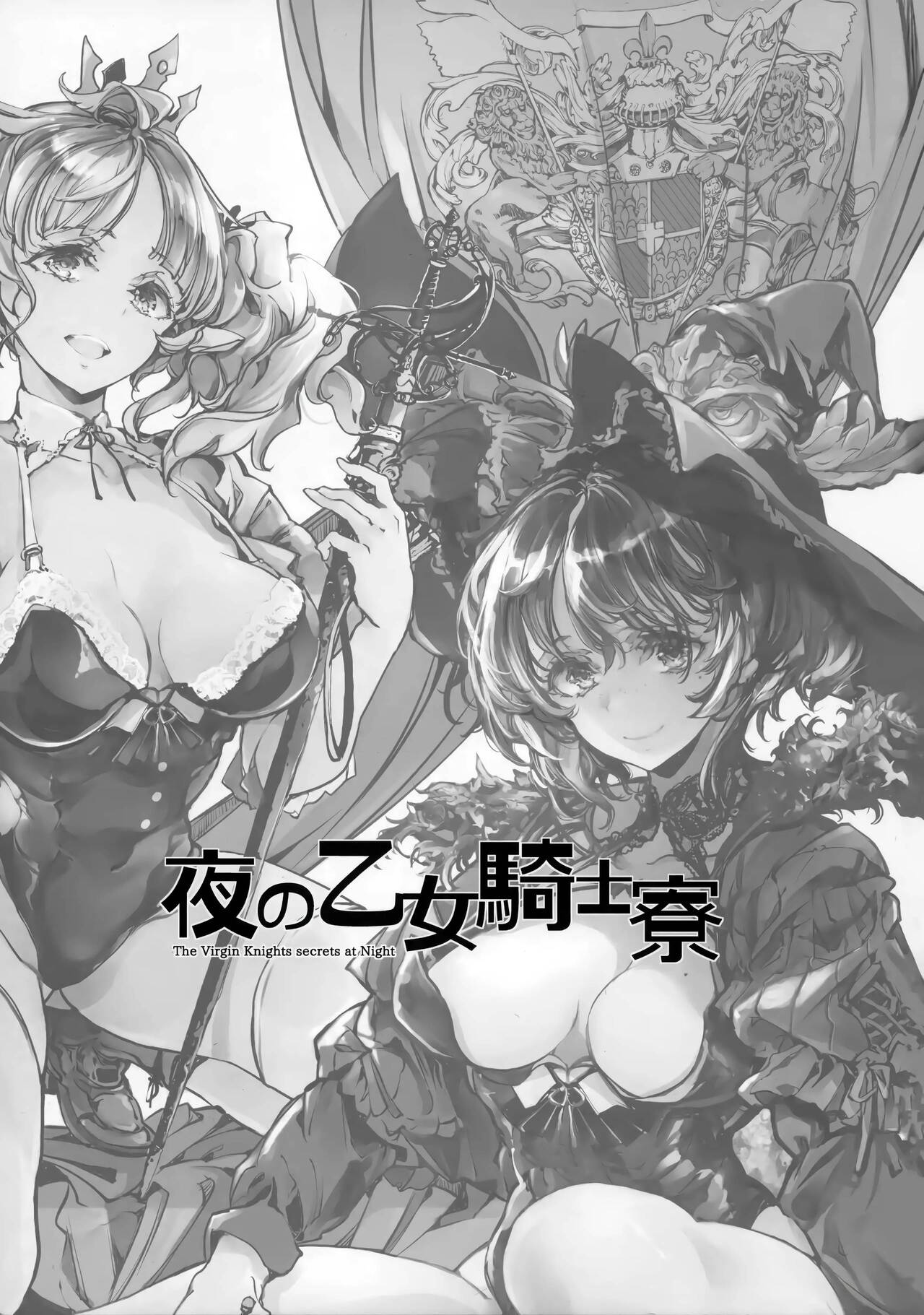 The Virgin Knights secrets at Night | 밤의 처녀기사 기숙사 page 3 full